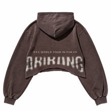 Load image into Gallery viewer, ARIRANG TOKYO HOODIE 🤎
