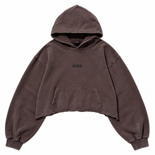 Load image into Gallery viewer, ARIRANG TOKYO HOODIE 🤎
